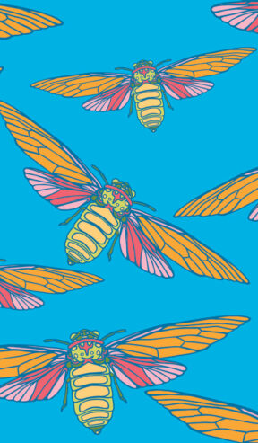 Cicada Collection Flight Summer Afternoon by Laura Lane Design