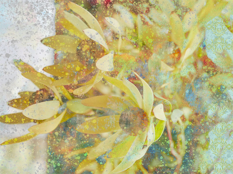 Petals of Spring Painting by Laura Lane Design